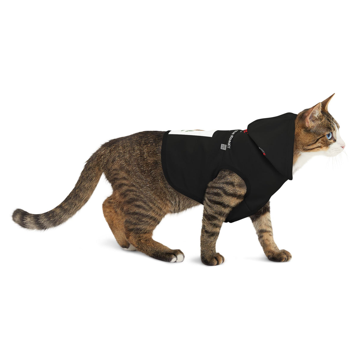 Pet Hoodie — “Ride Smart. Enjoy the Road!” Reflective Black Dog and Cat Hoodie with Leash Graphic