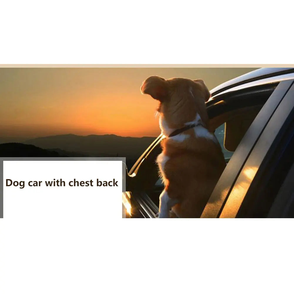 Travel Dog Harness with Leash & Car Seat Belt – Breathable Mesh, Secure Fit