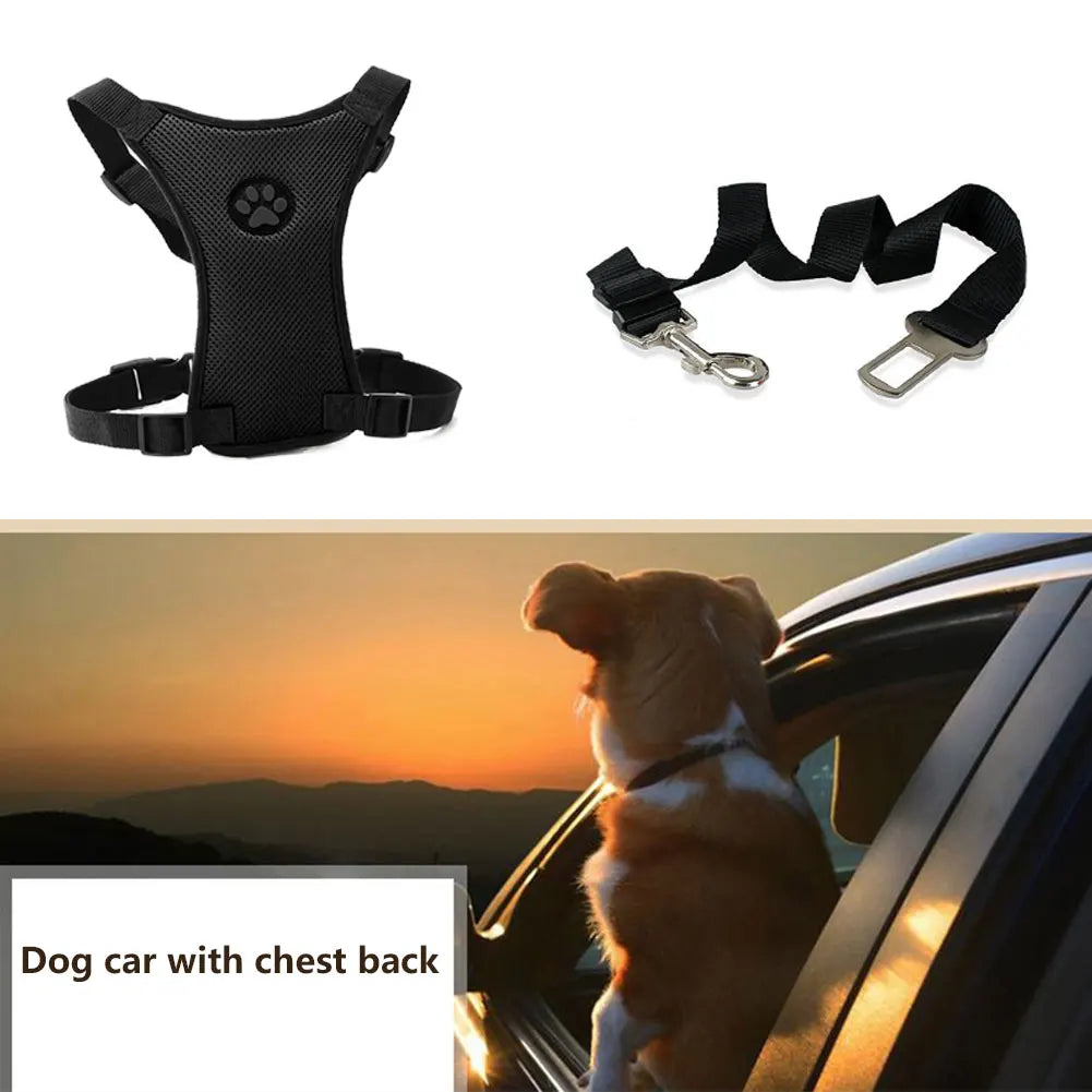 Travel Dog Harness with Leash & Car Seat Belt – Breathable Mesh, Secure Fit