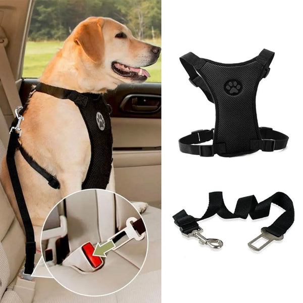 Travel Dog Harness with Leash & Car Seat Belt – Breathable Mesh, Secure Fit