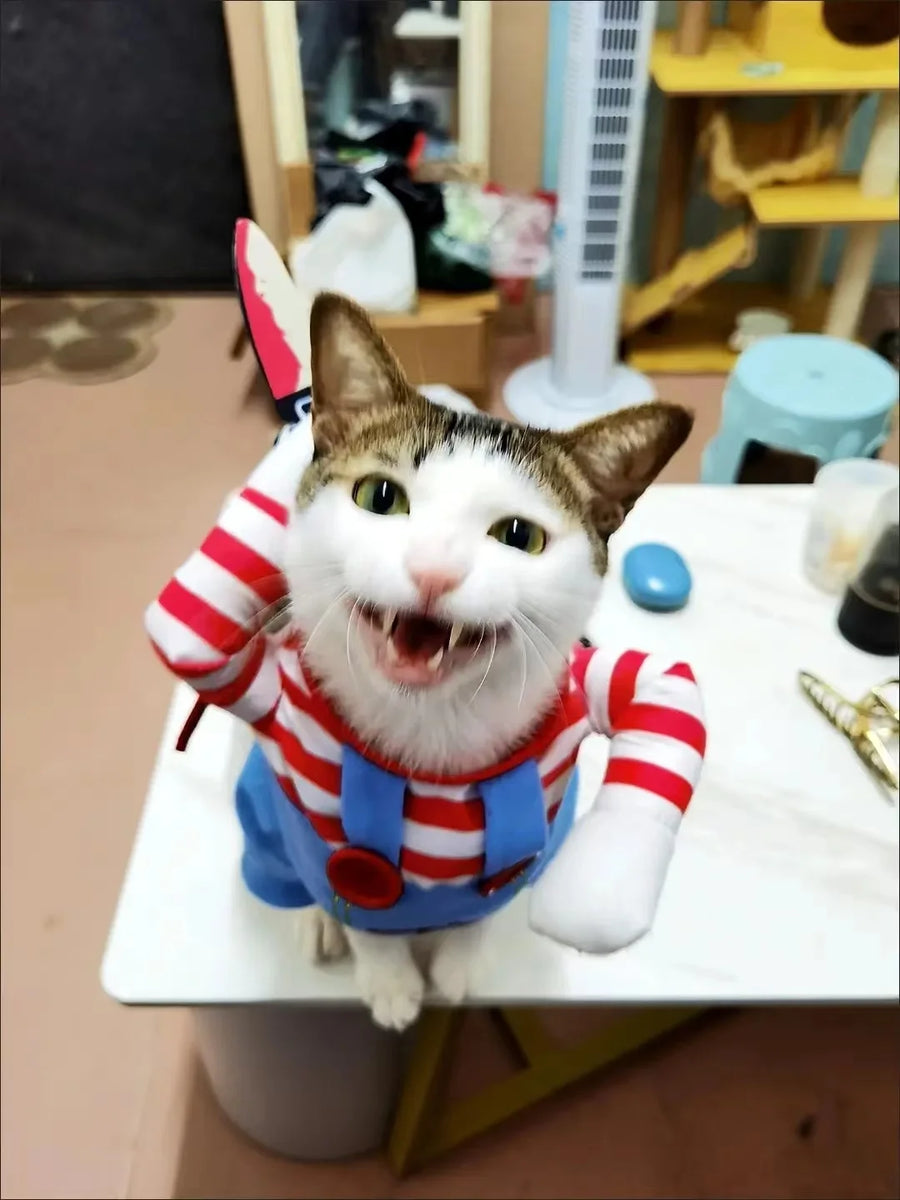 Halloween Pet Costume – Funny Dog & Cat Outfit for Small/Medium Breeds