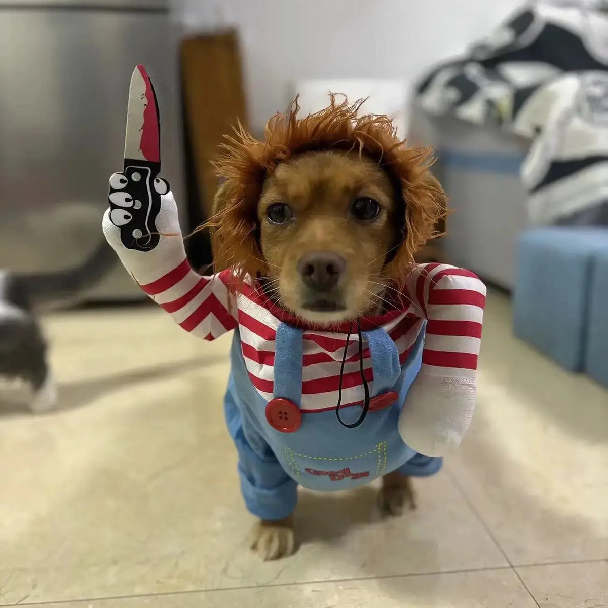 Halloween Pet Costume – Funny Dog & Cat Outfit for Small/Medium Breeds