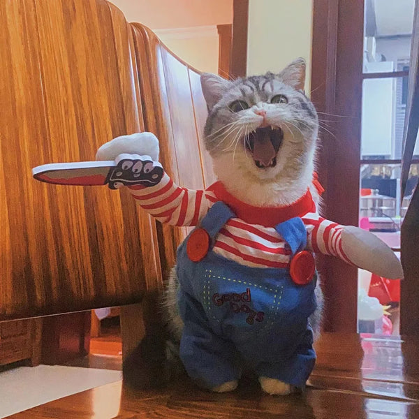 Halloween Pet Costume – Funny Dog & Cat Outfit for Small/Medium Breeds
