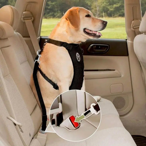 Travel Dog Harness with Leash & Car Seat Belt – Breathable Mesh, Secure Fit