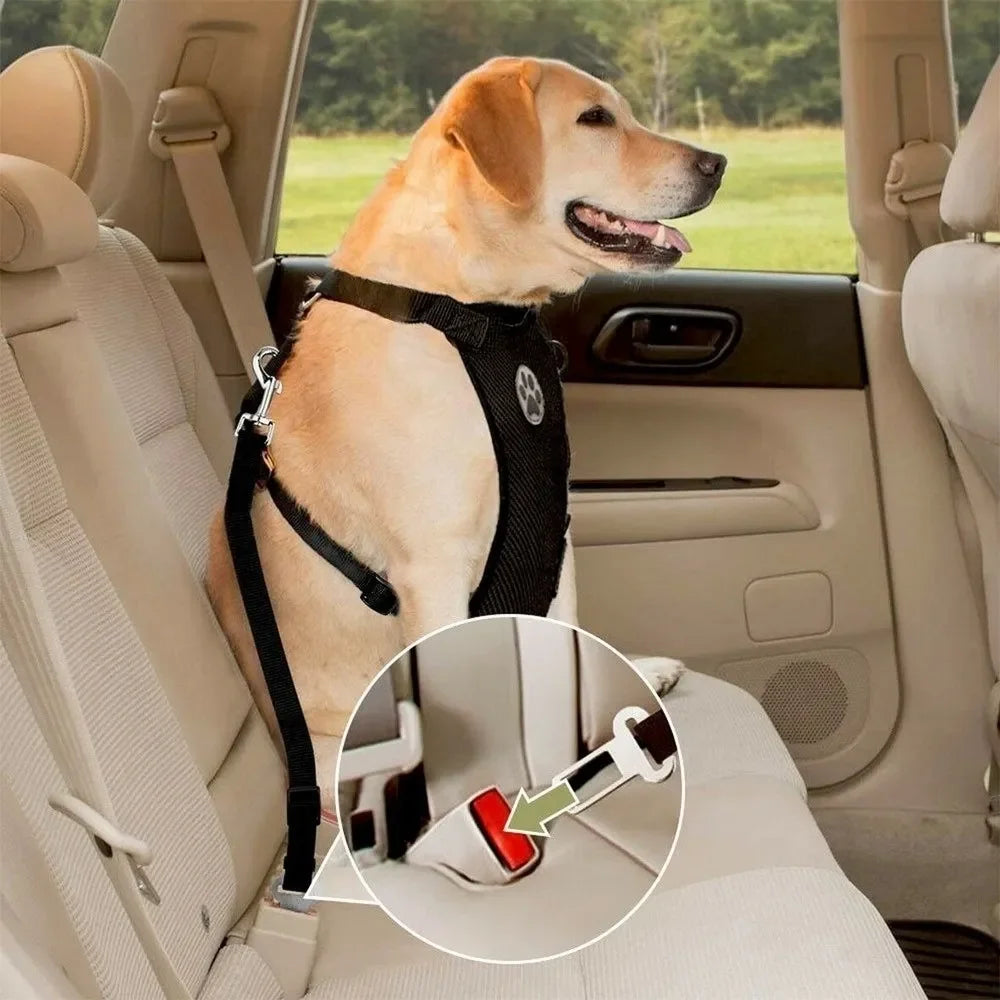 Air Mesh Dog Car Harness with Seatbelt Clip – Breathable, Safe & Travel‑Ready