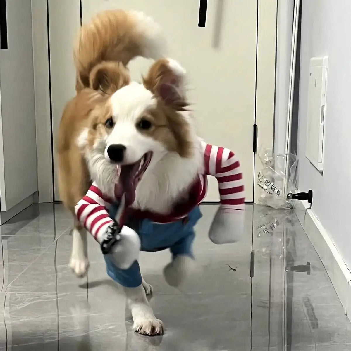 Halloween Pet Costume – Funny Dog & Cat Outfit for Small/Medium Breeds