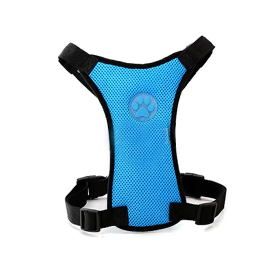 Travel Dog Harness with Leash & Car Seat Belt – Breathable Mesh, Secure Fit
