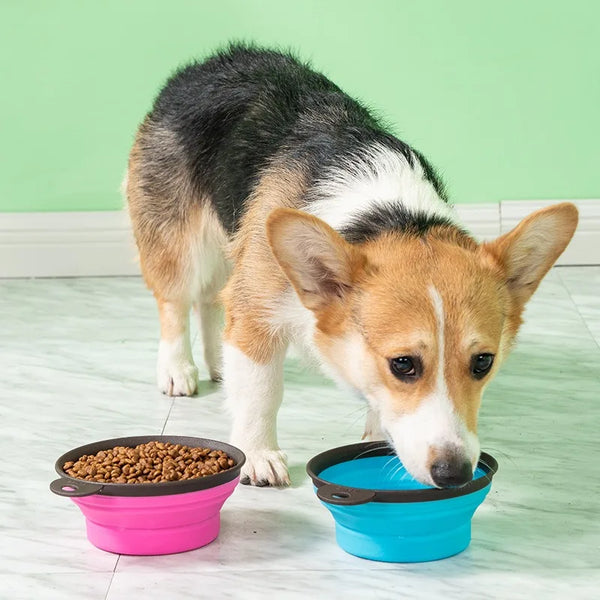Collapsible Travel Dog & Cat Water Drinking Bowl