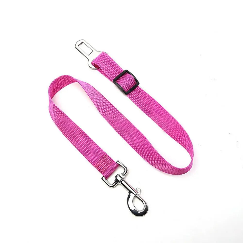 Travel Dog Harness with Leash & Car Seat Belt – Breathable Mesh, Secure Fit